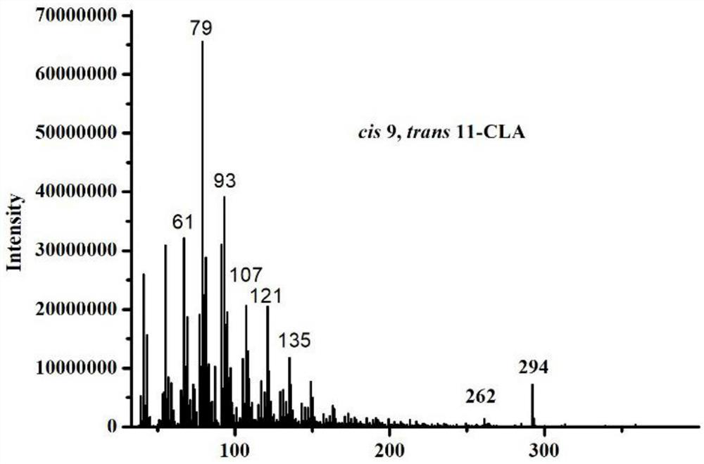 Lactobacillus plantarum engineering bacterium capable of producing conjugated linoleic acid at high yield