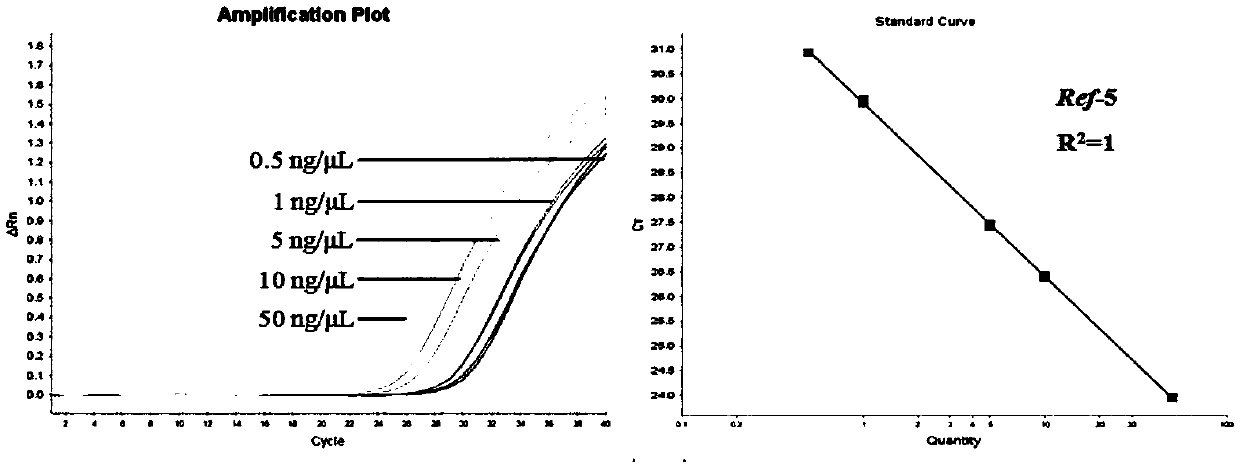 Method for quantitatively detecting bovine-derived materials in livestock and poultry meat based on QPCR (quantitative polymerase chain reaction)