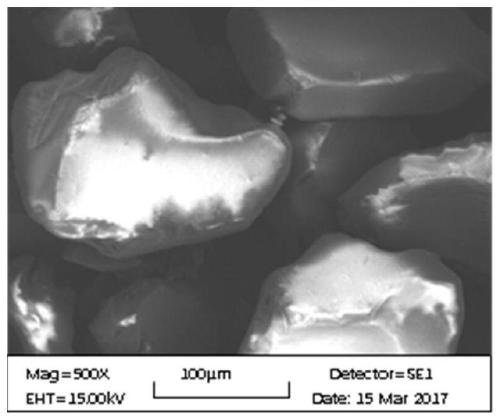 A kind of high-performance rosmarinic acid molecular surface imprinted particles and preparation method thereof