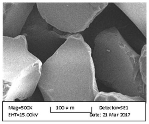 A kind of high-performance rosmarinic acid molecular surface imprinted particles and preparation method thereof