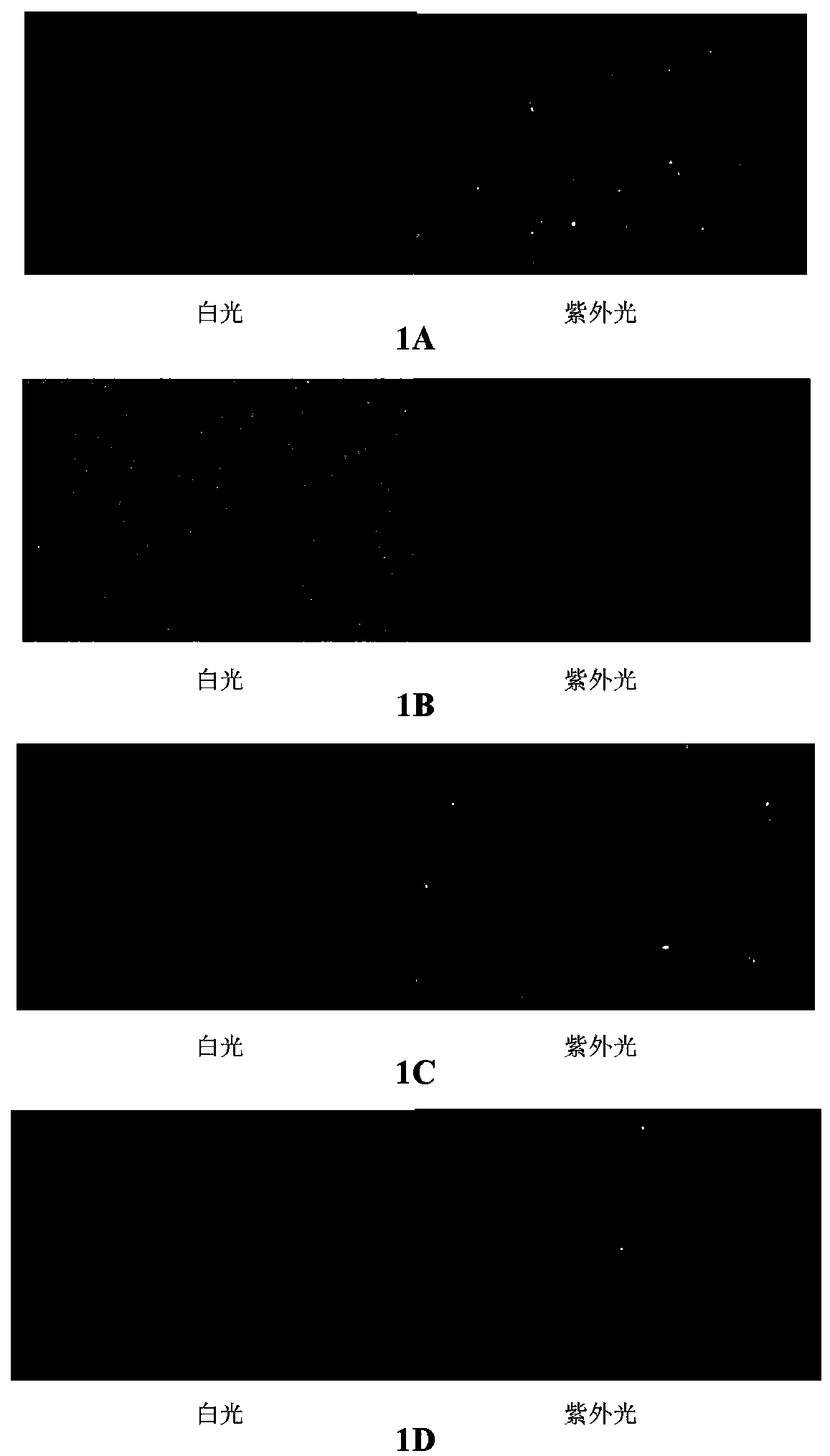 Method for determining the biological activity of human il-33/st2 pathway inhibitors