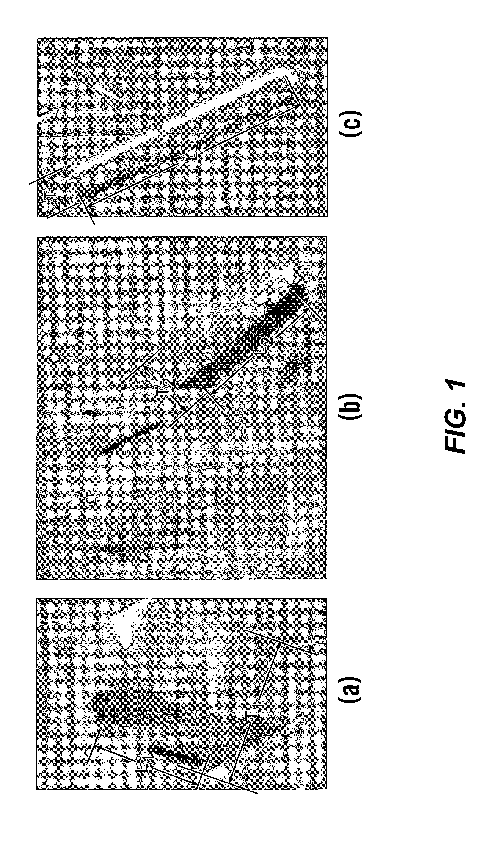 Systems and methods for automatically determining object information and systems and methods for control based on automatically determined object information