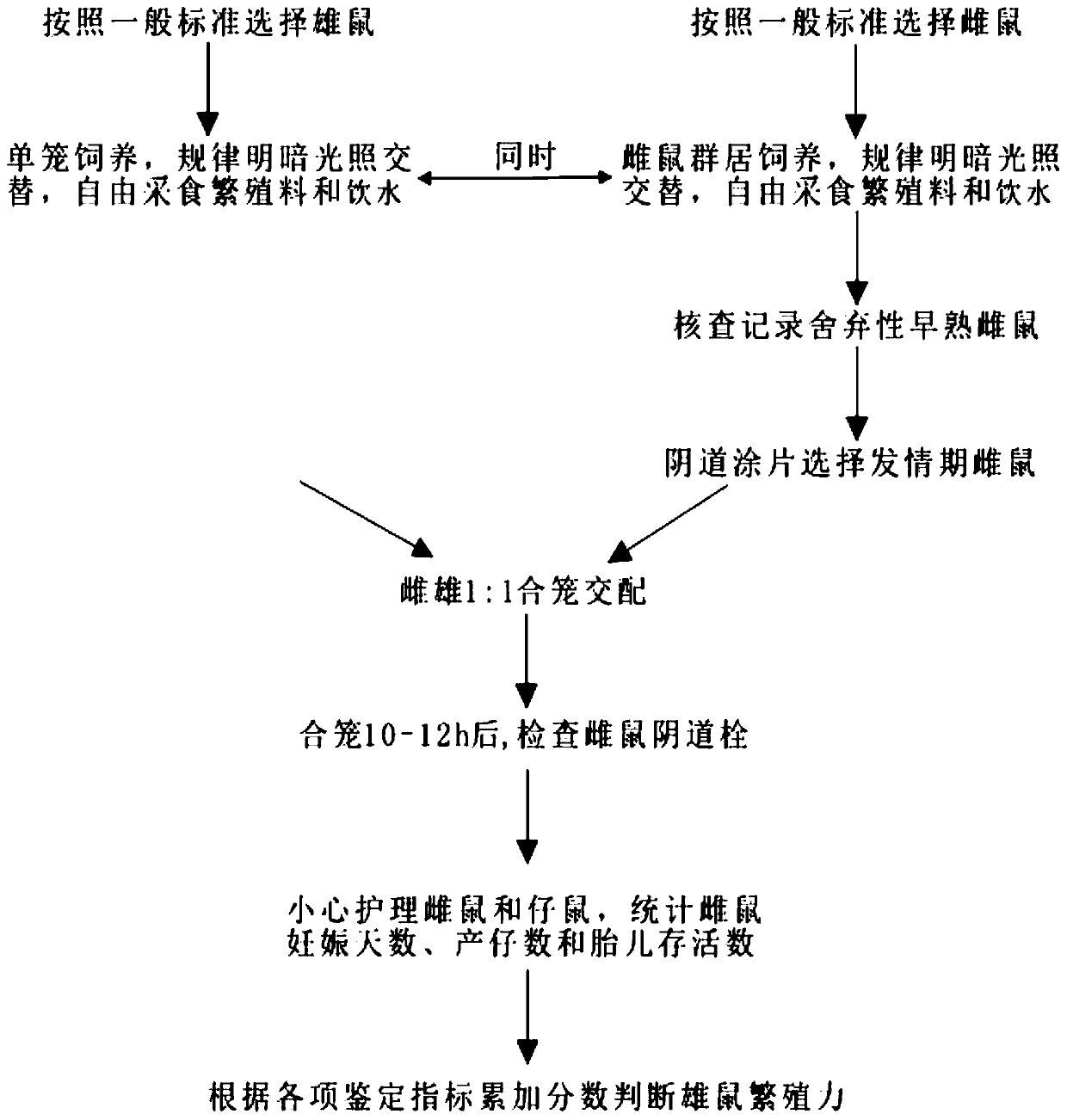 Male rat fertility comprehensive evaluating method