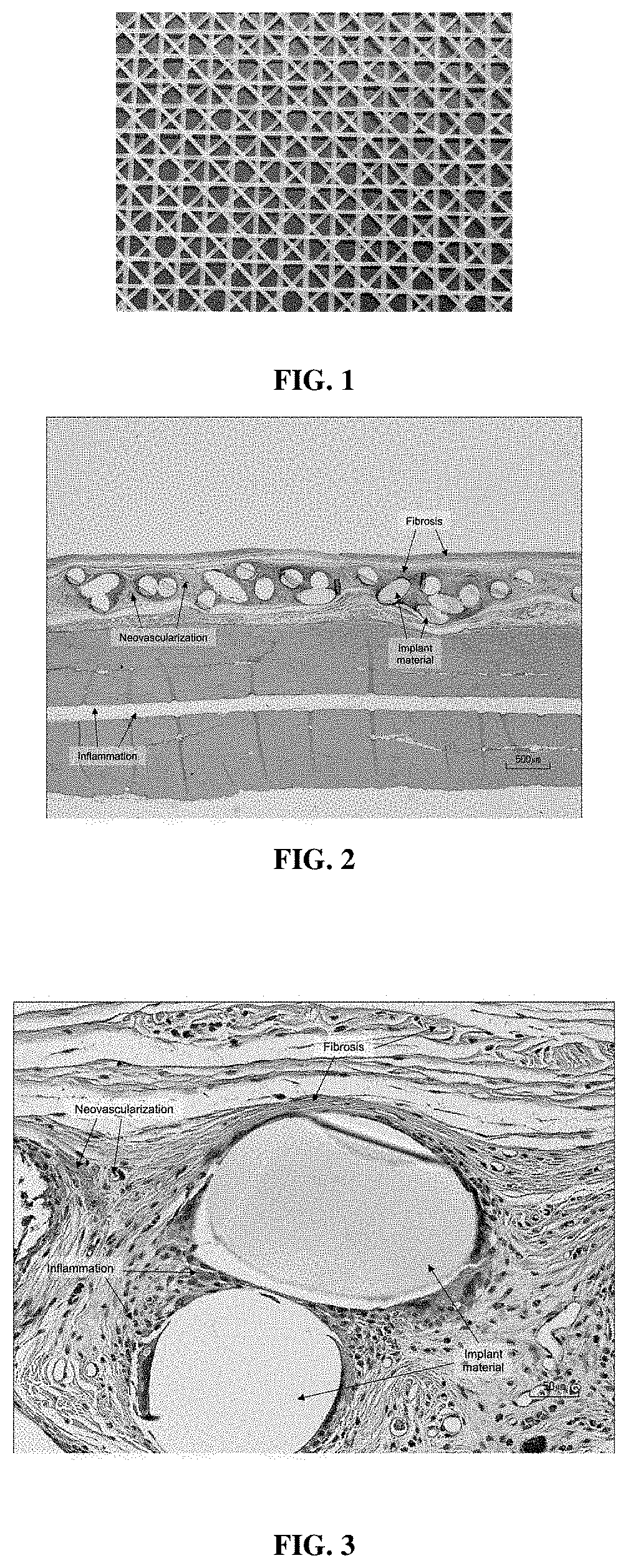 Articles of poly(butylene succinate) and copolymers thereof