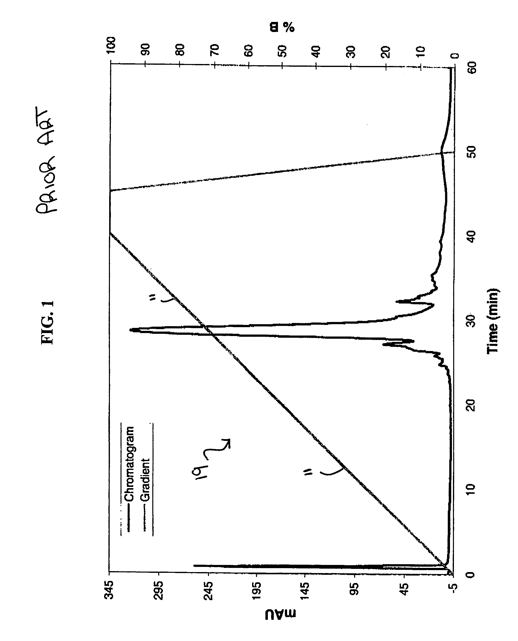 Apparatus and method of utilizing a sawed tooth shaped gradient for chromatographic separation