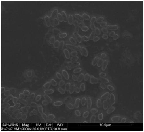 A method for preparing biomimetic microcapsules from phospholipid bilayer confined organic titanium source and natural pigment