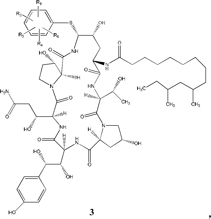 Caspofungin analogue, its preparation method and application