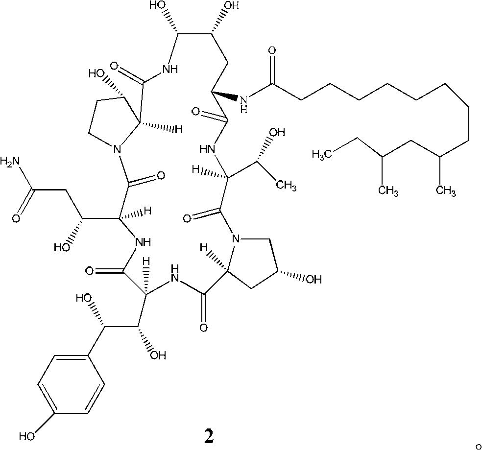 Caspofungin analogue, its preparation method and application