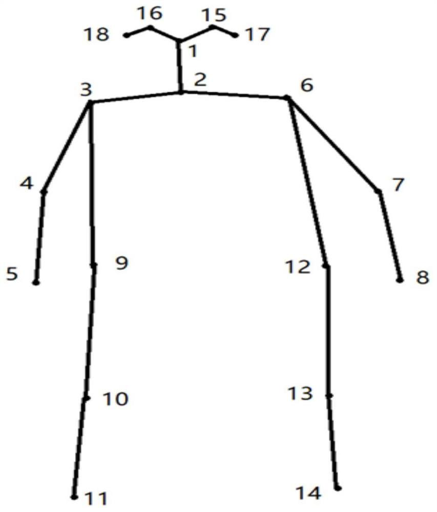 Human body posture recognition method and device based on skeleton key points, storage medium and terminal