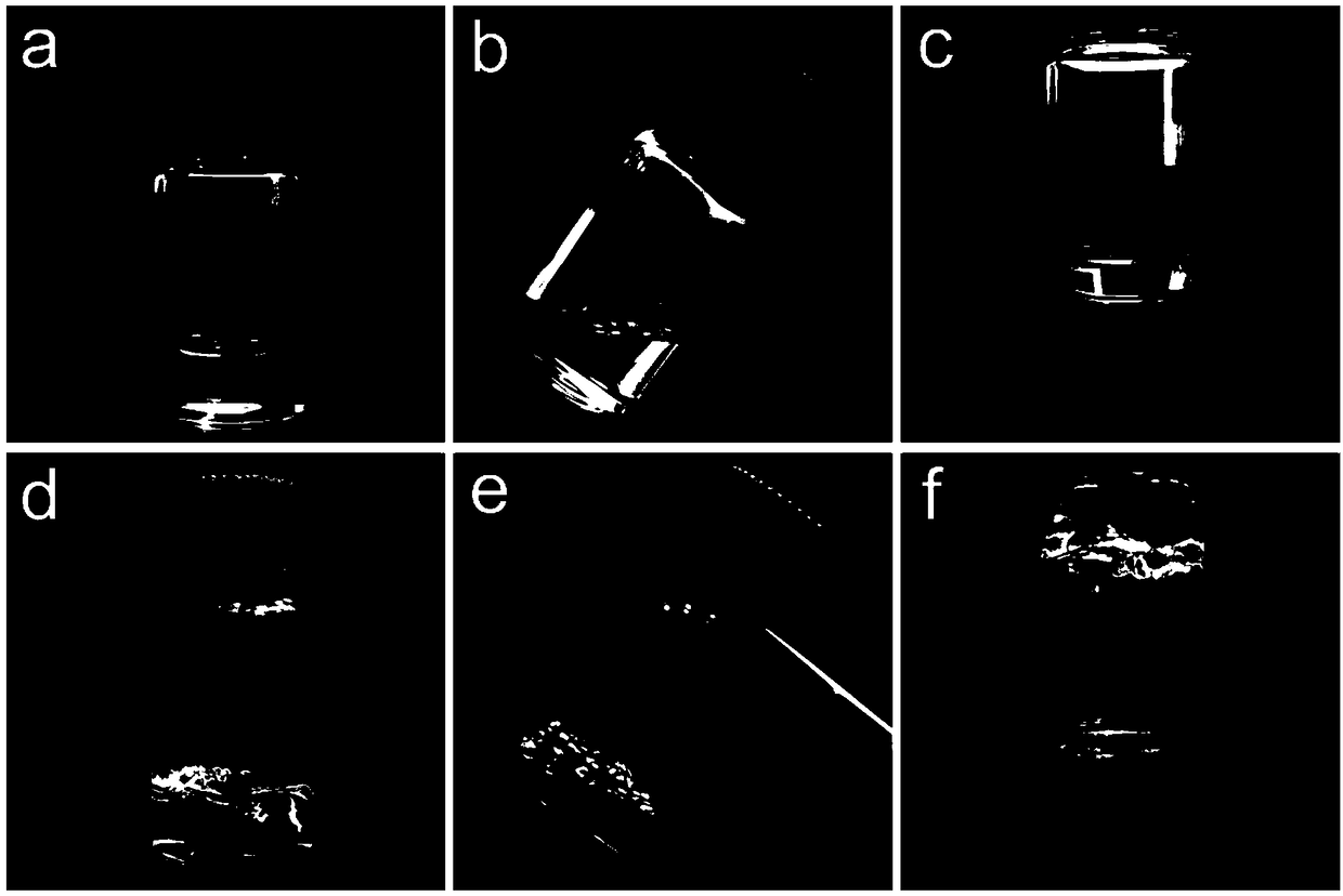 Lyotropic liquid crystal injection for soft tissue regeneration and vascularization promotion and preparation method thereof