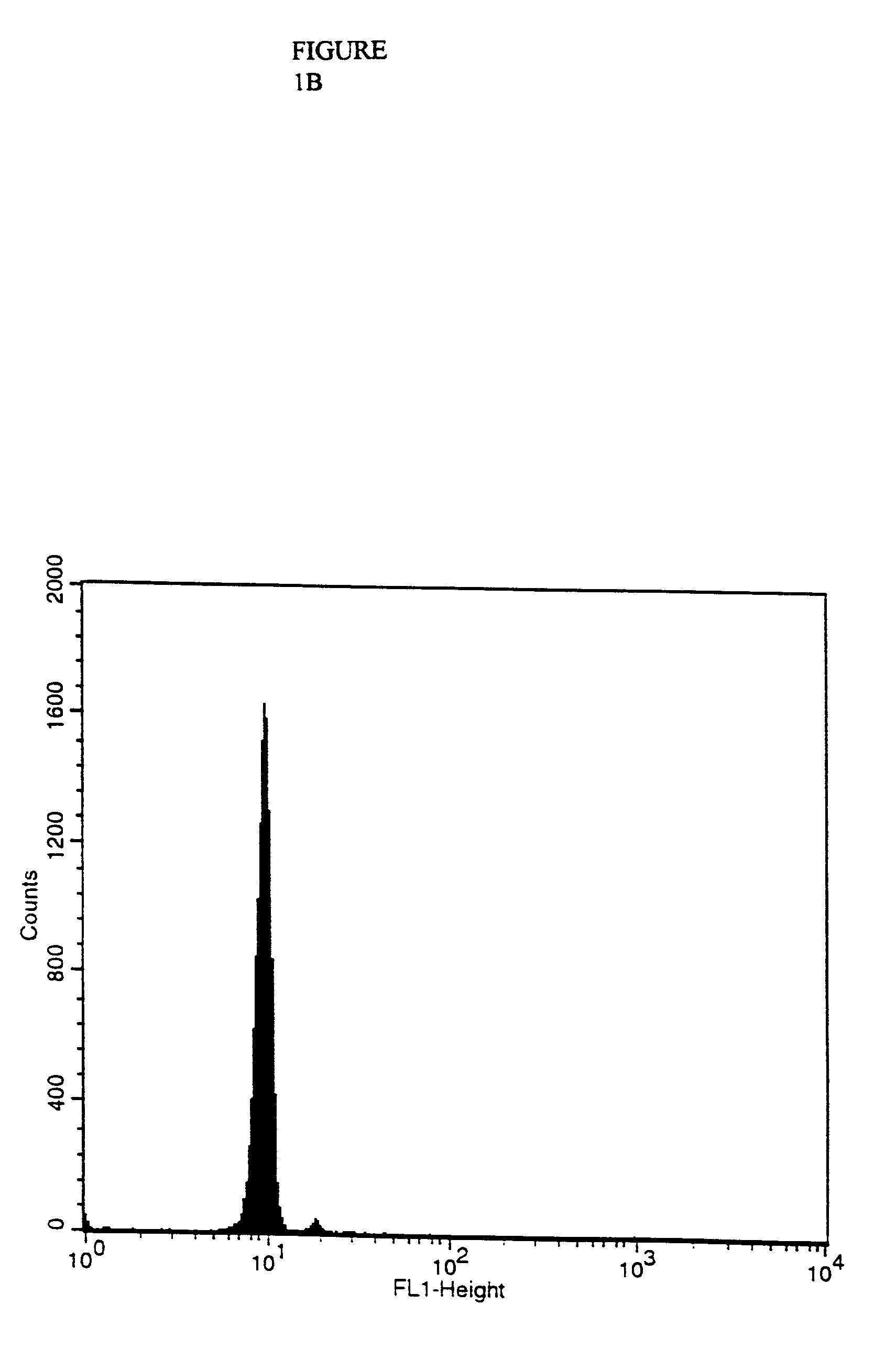 Purification of antigen-specific t cells