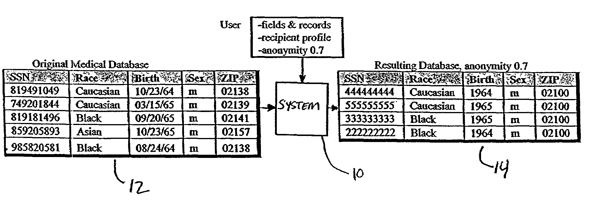 Systems and methods for deidentifying entries in a data source