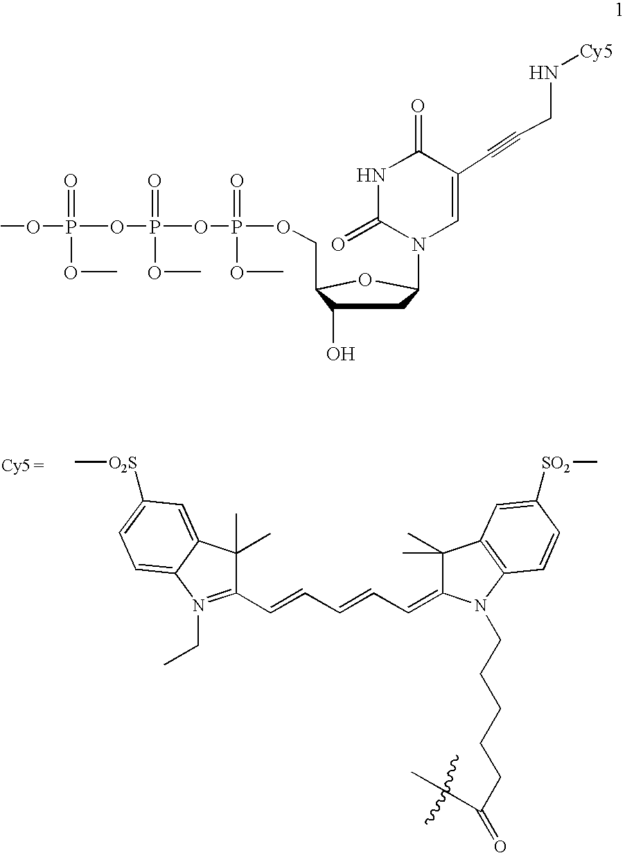 Fluorescently labeled nucleoside triphosphates and analogs thereof for sequencing nucleic acids