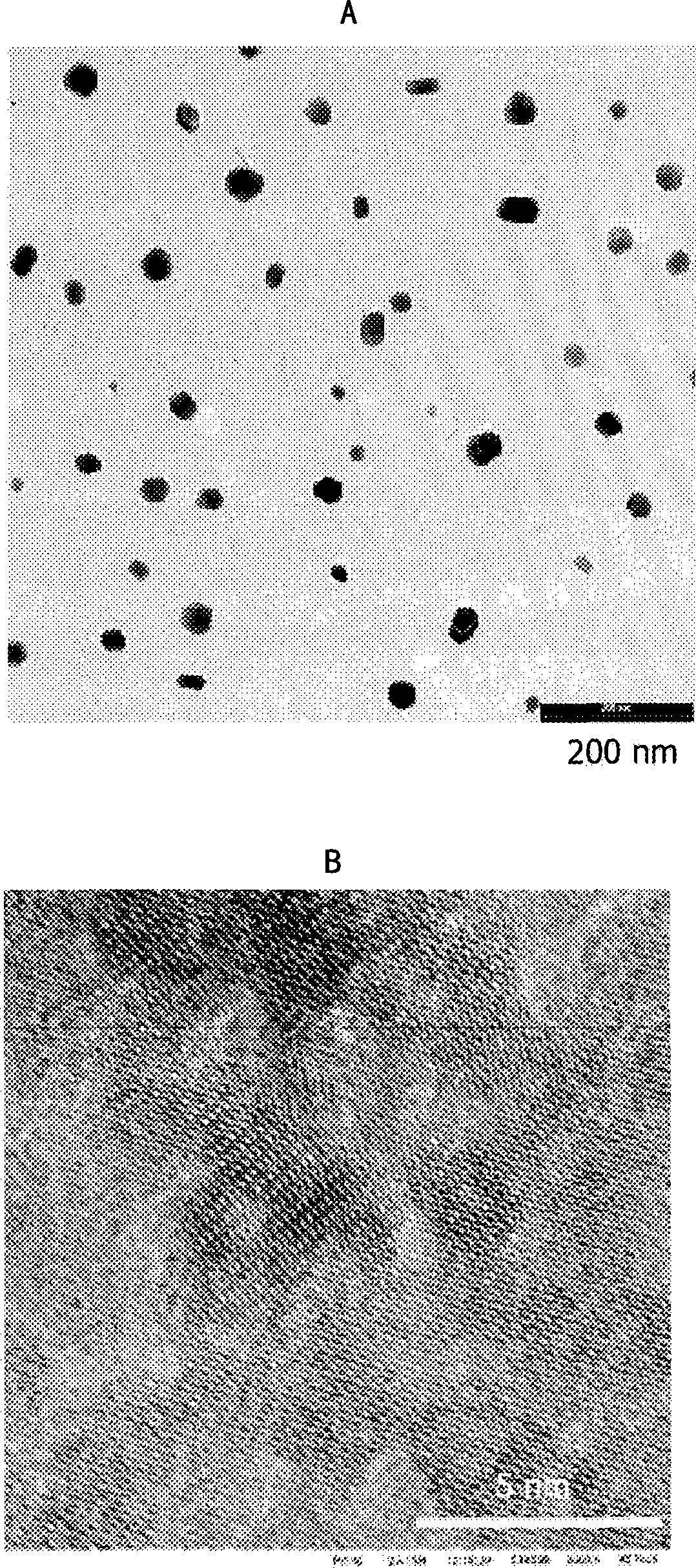 Compositions comprising magnetic iron oxide particles and use thereof in medical imaging