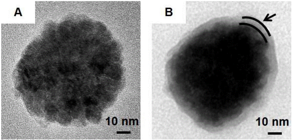 Antibody-coupled bionic immune magnetic sphere and preparation method thereof