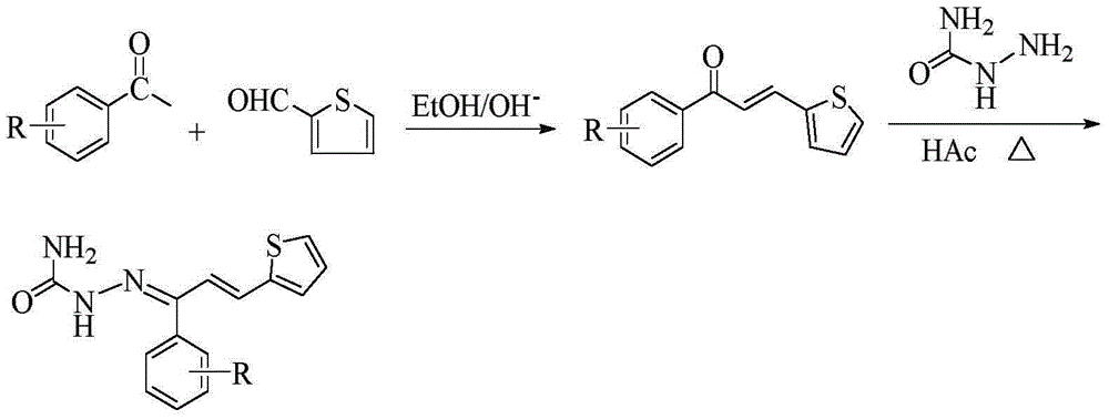 Thiophene chalcone semicarbazone Schiff base compounds, and preparation method and applications thereof