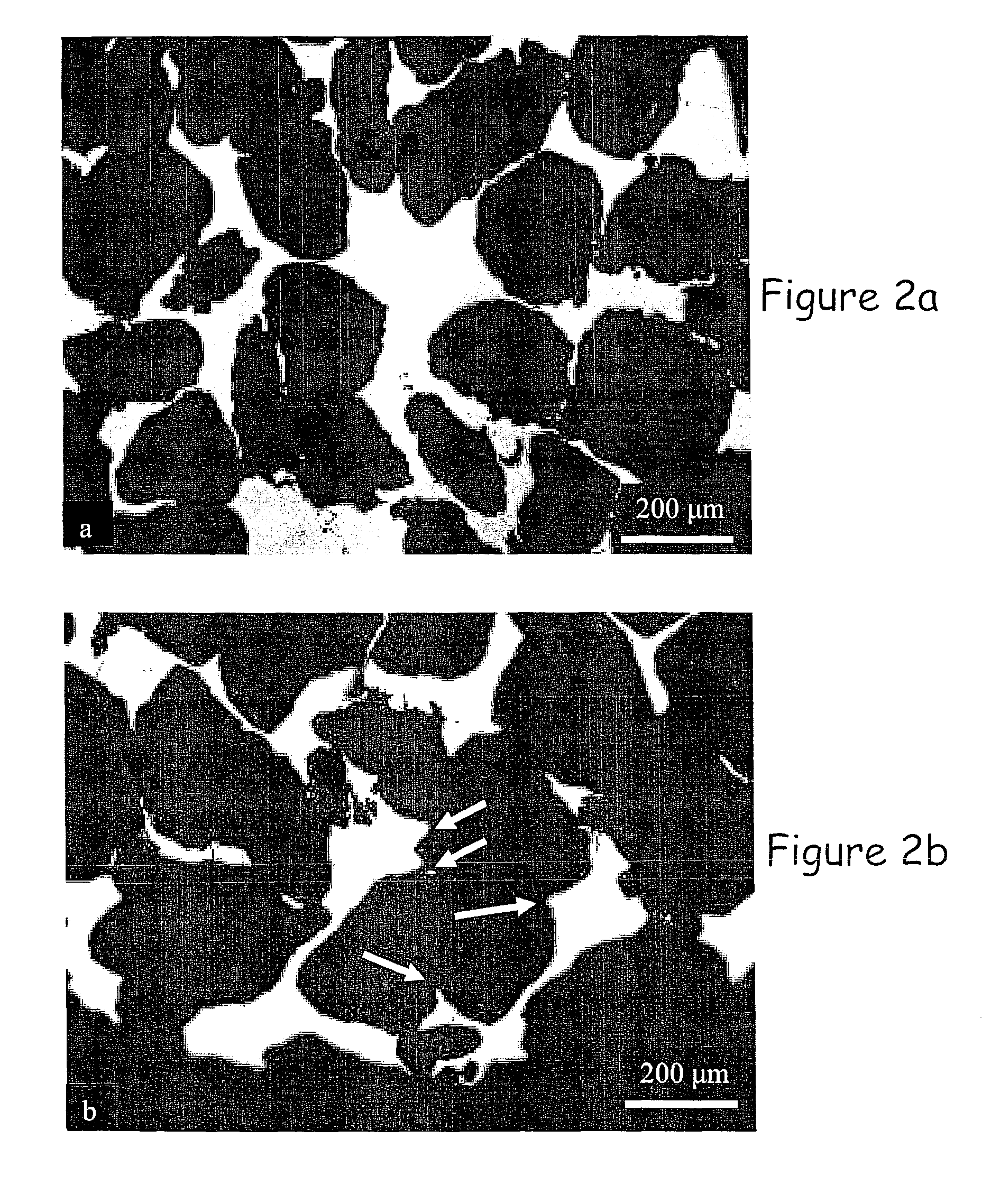 Magnetic material with large magnetic-field-induced deformation