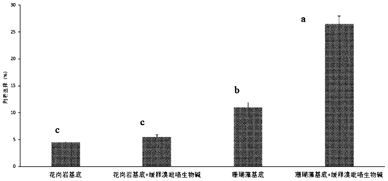 Method for inducing coralline planula larvae to improve adhesion capability