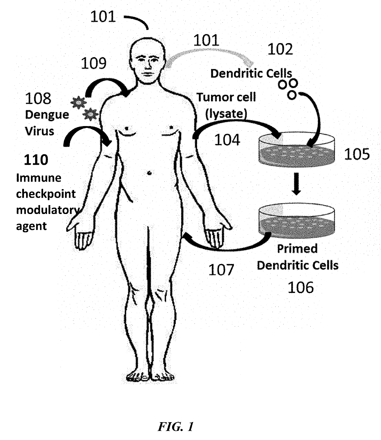 Combination immunotherapies for treatment of cancer