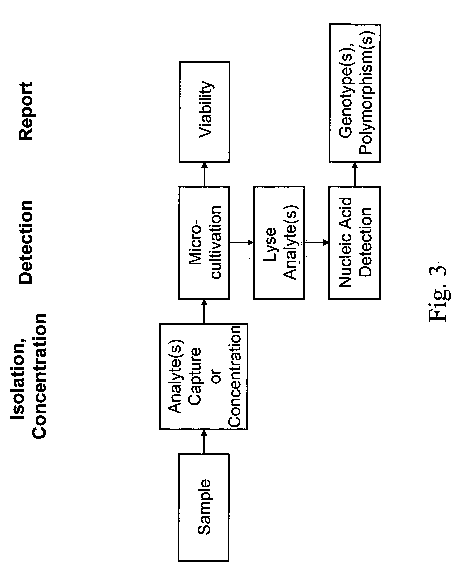 Integrated multistep bioprocessor and sensor
