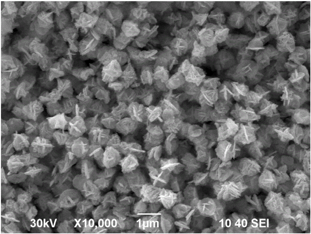 Bismuth tungstate-bismuth molybdate heterojunction photocatalytic material, method for preparing same and application of bismuth tungstate-bismuth molybdate heterojunction photocatalytic material