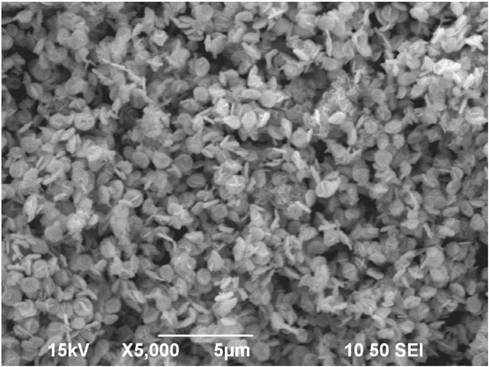 Bismuth tungstate-bismuth molybdate heterojunction photocatalytic material, method for preparing same and application of bismuth tungstate-bismuth molybdate heterojunction photocatalytic material