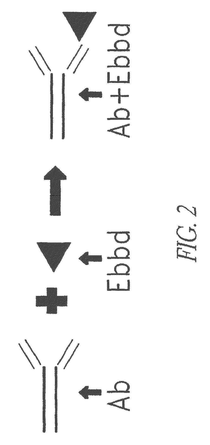 Modular targeted therapeutic agents and methods of making same