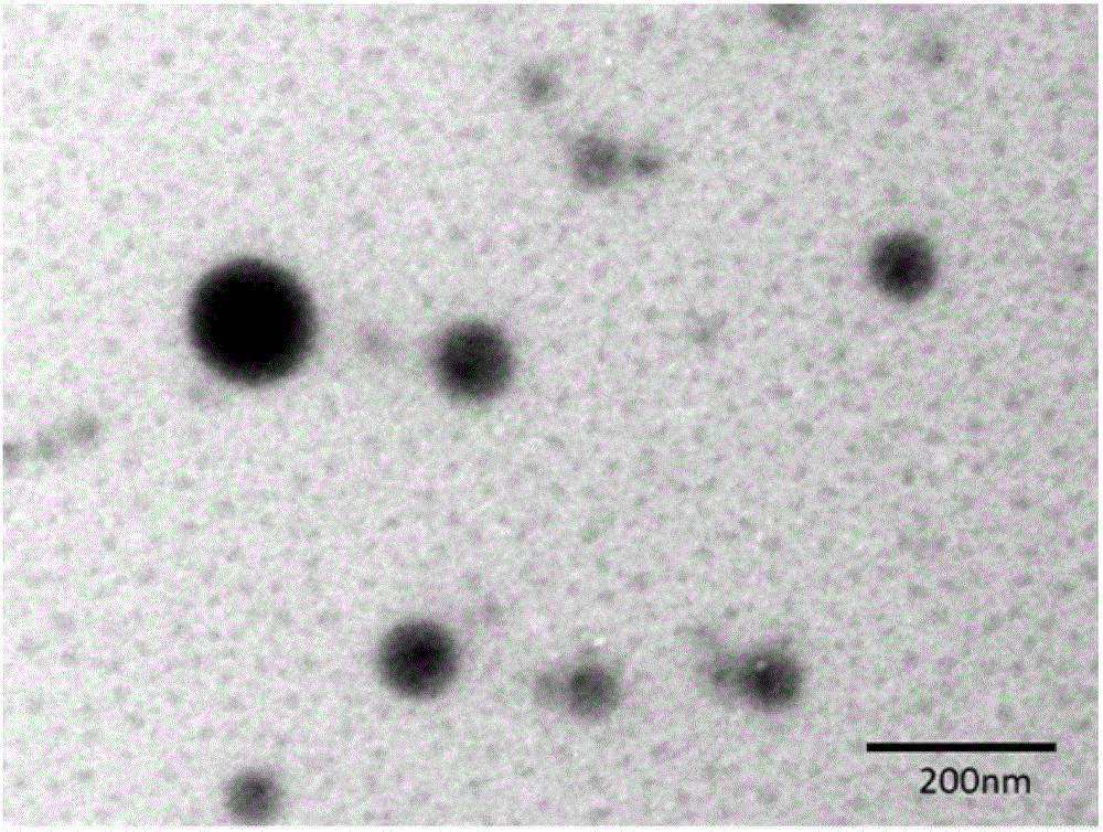 Preparation and application method of pharmaceutical albumin nanoparticle
