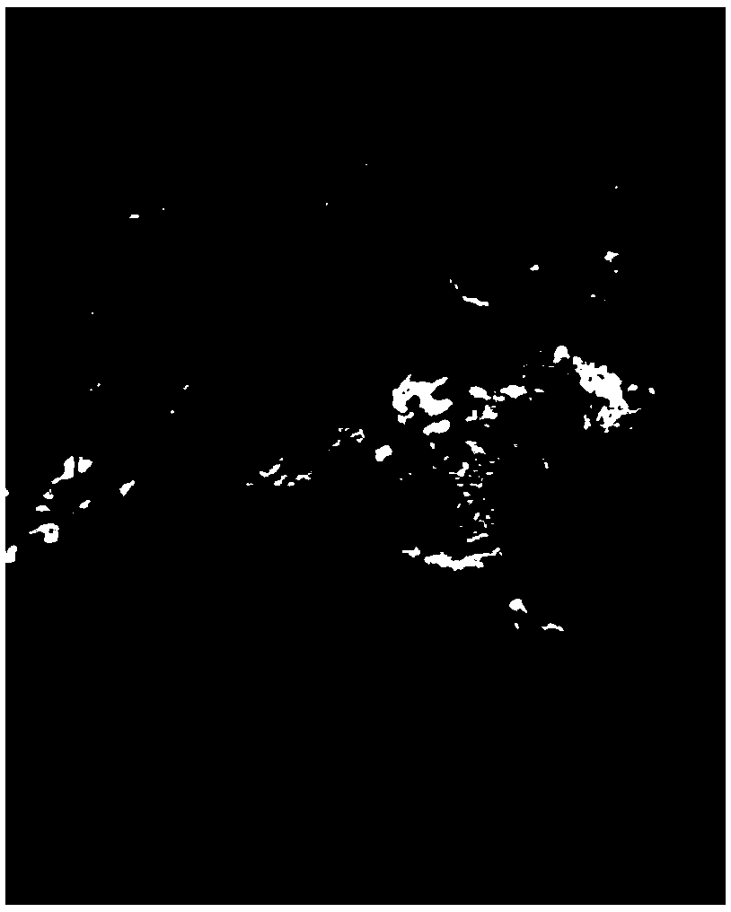 Snow mountain detection method based on infrared remote sensing image