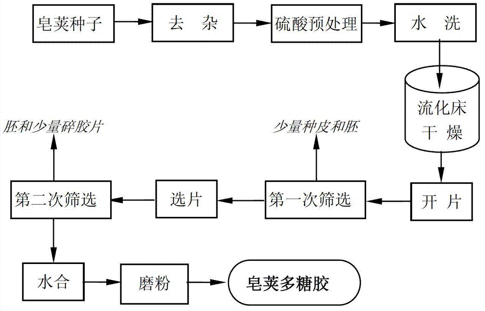 Gleditsia sinensis polysaccharide gum and preparation method thereof