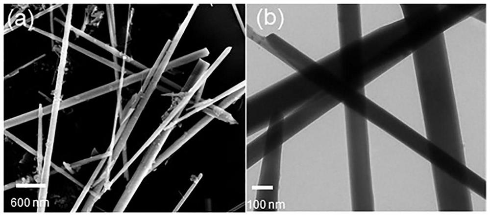 Preparation method of heterojunction CoO/CoS porous nanorod, obtained material and application