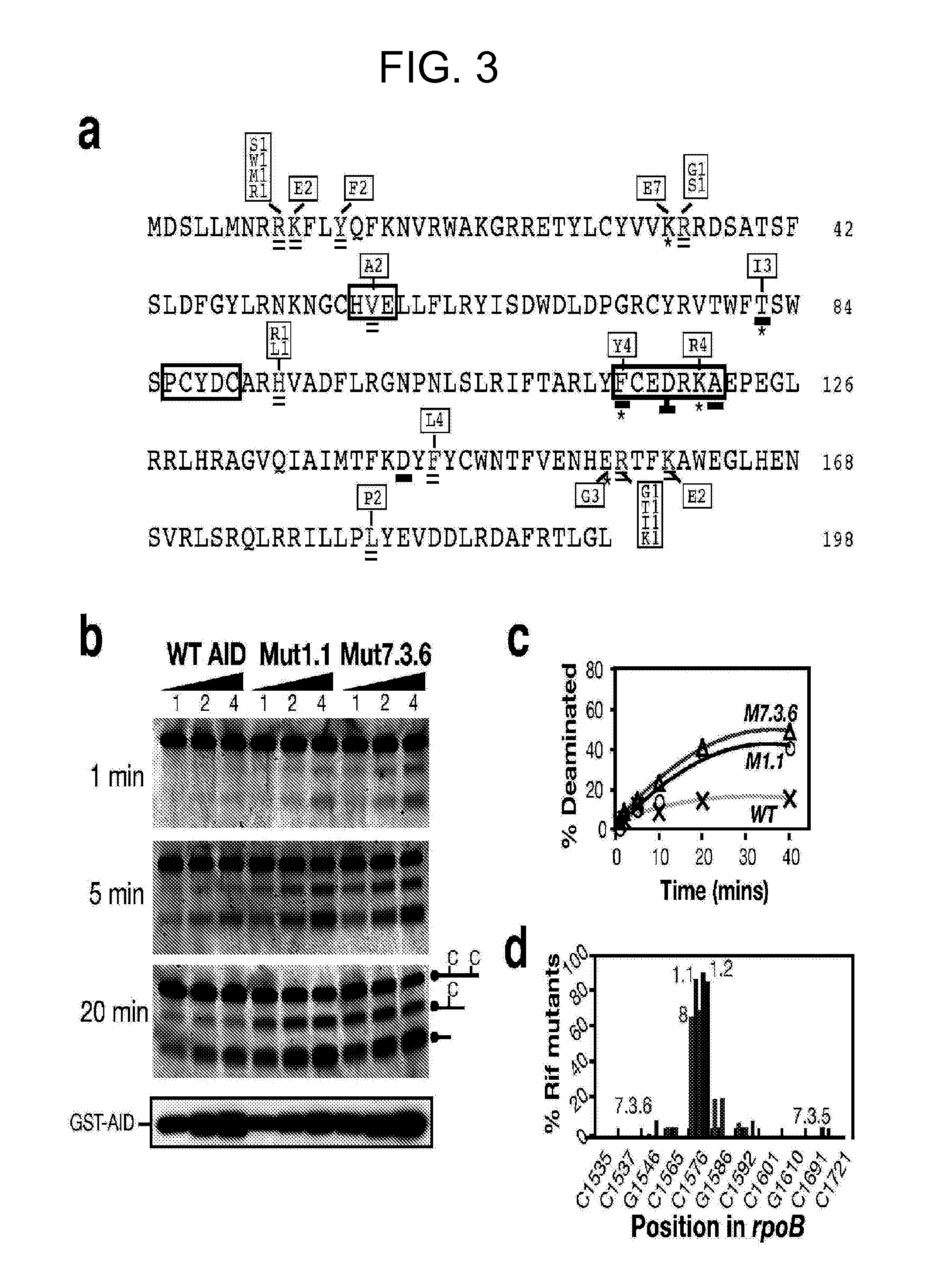 Mutants of activation-induced cytidine deaminase (AID) and methods of use