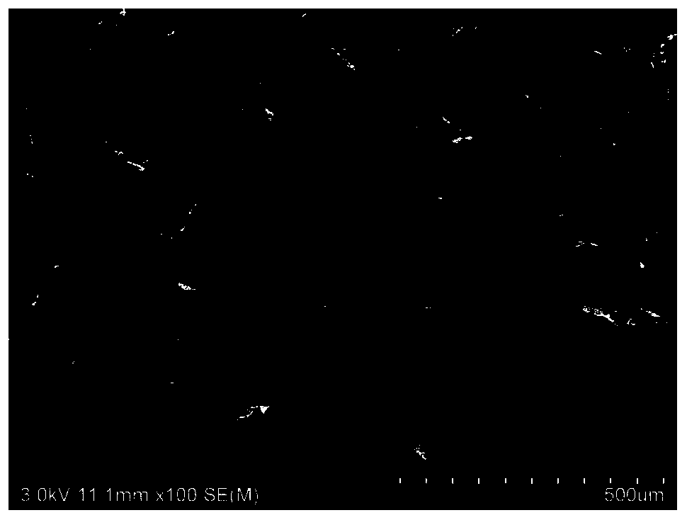 Composite stent and preparation method thereof