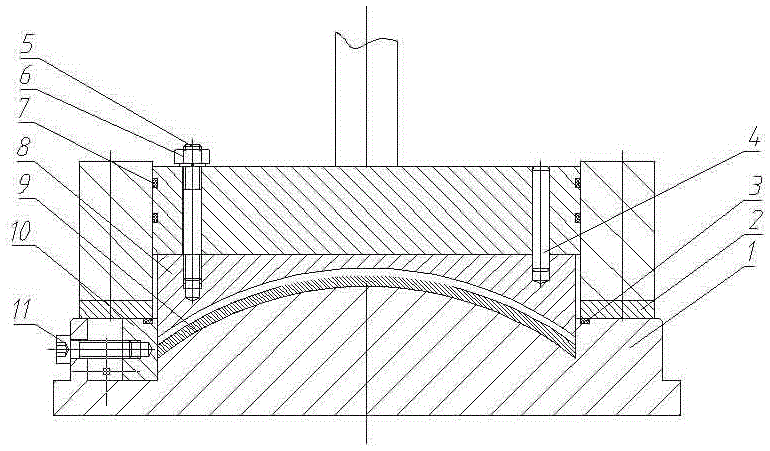 Electrolytic machining device for special-shaped thin-walled curved surface parts