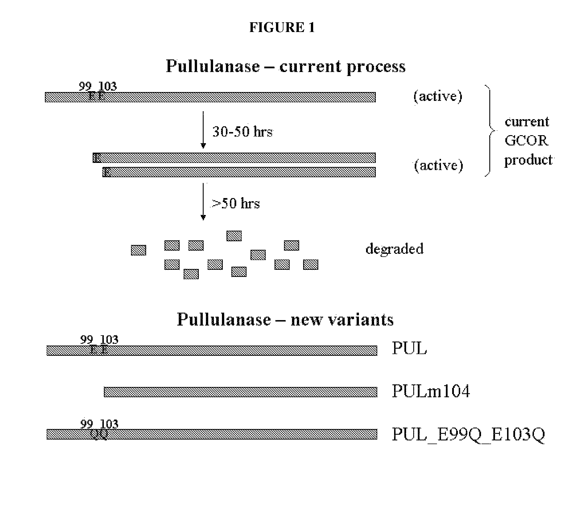 Pullulanase variants with increased productivity