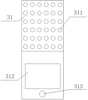 Fruit individual conveying device for canning