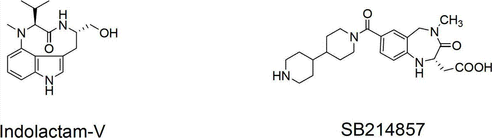 Preparation method of N-(5-methoxycarbonyl-2-hydroxyphenyl) amino acid ester compounds