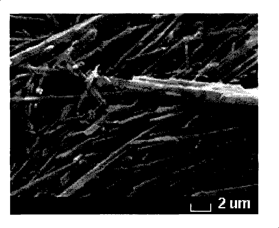 Method for preparing kalium-magnesium titanate by carnallite