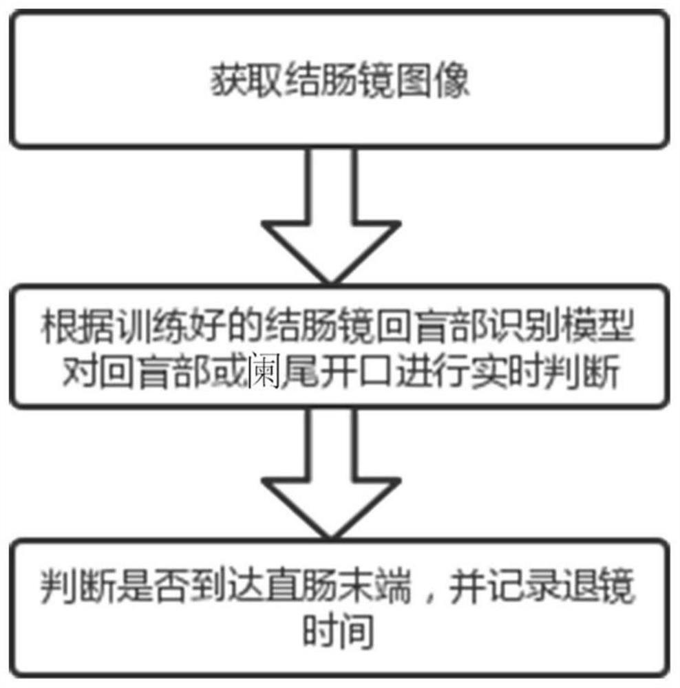 Real-time monitoring method for enteroscope withdrawal time based on random forest algorithm