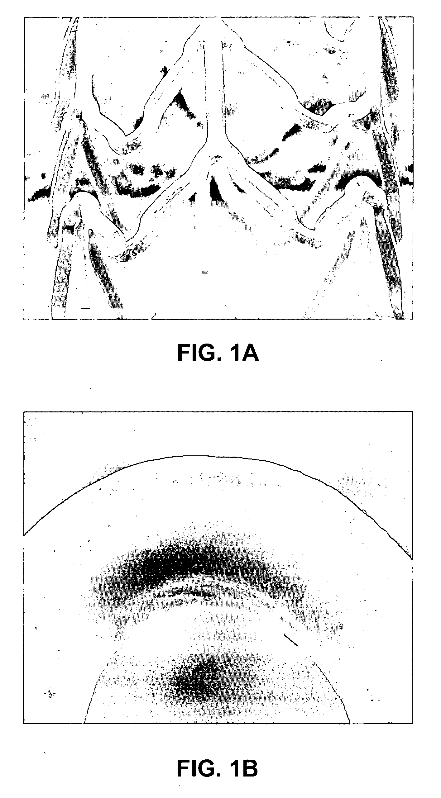 Coatings for implantable medical devices comprising hydrophilic substances and methods for fabricating the same