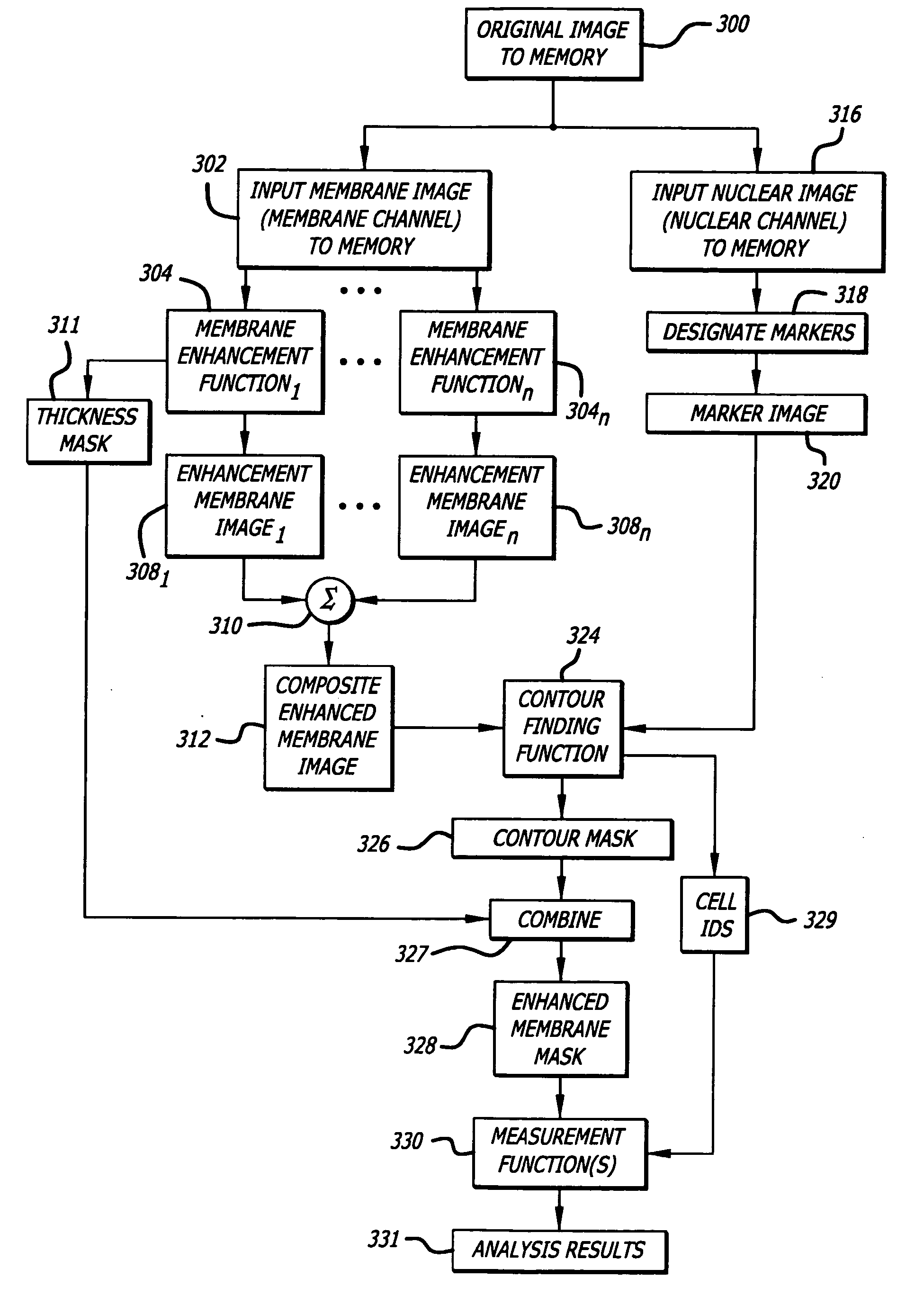 System, method, and kit for processing a magnified image of biological material to identify components of a biological object