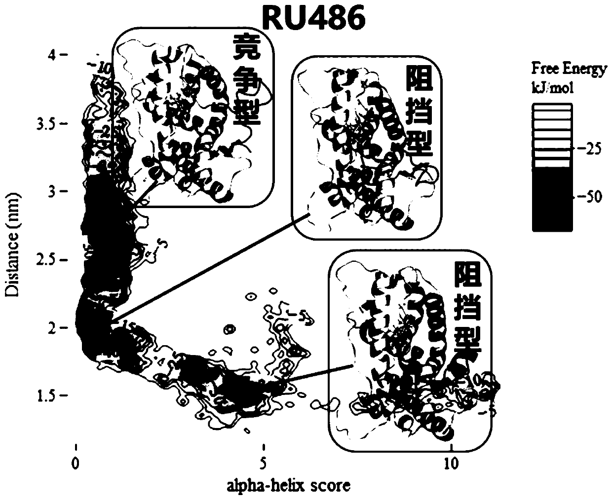 Hybrid mimetic and resistant glucocorticoid interferent identifying method based on enhanced sampling molecular dynamics simulation