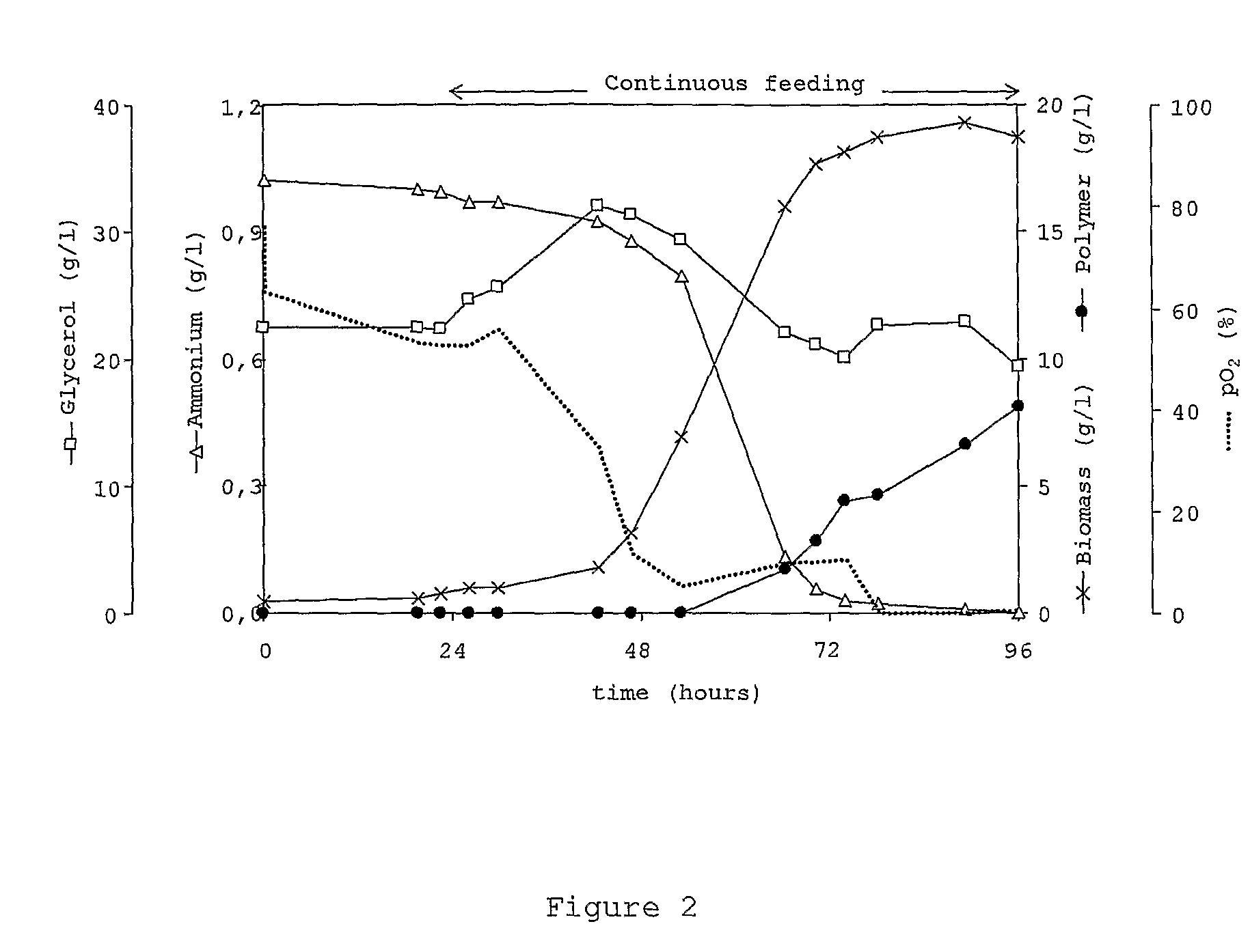 Galactose-rich polysaccharide, process for the production of the polymer and its applications