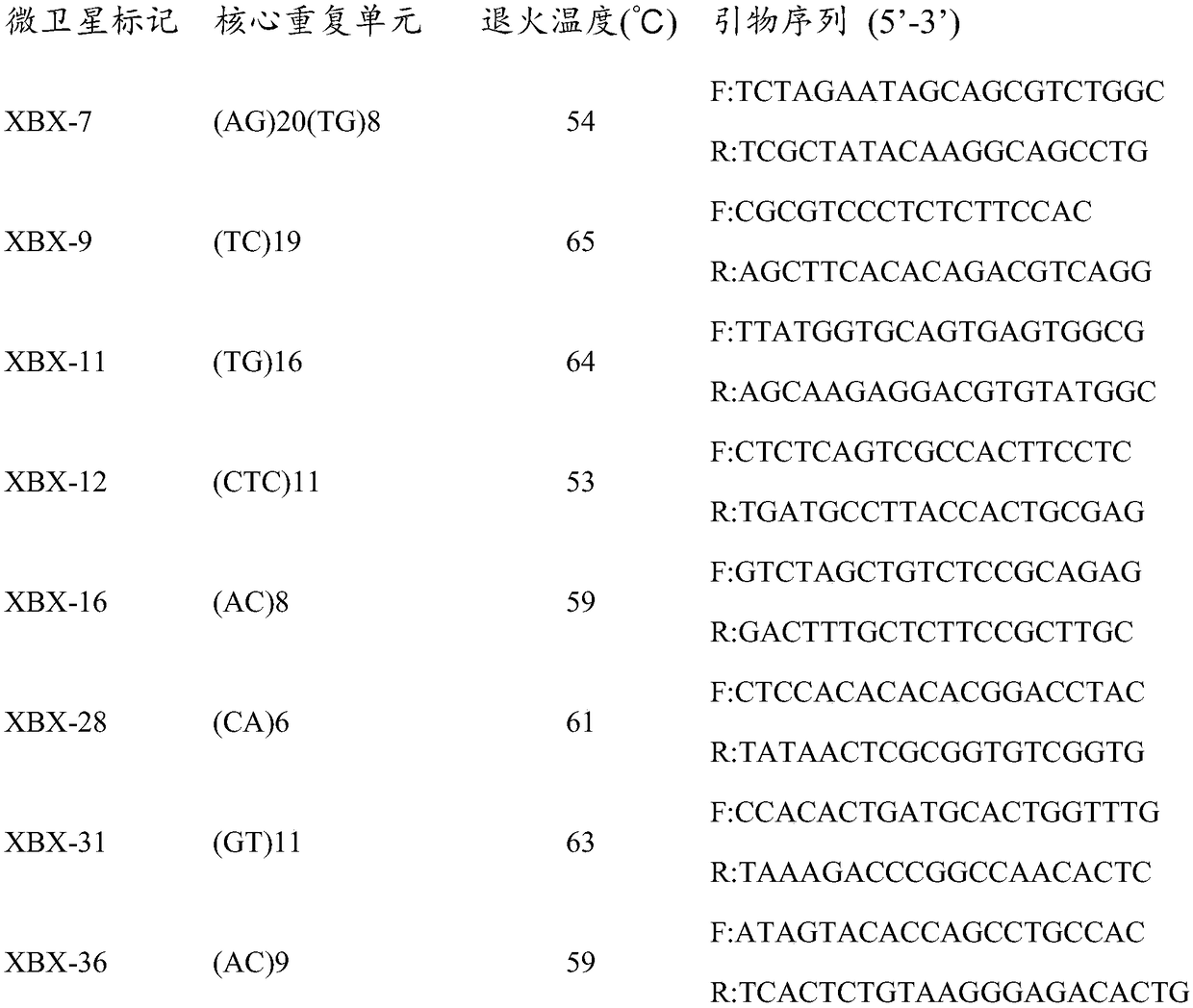 Charybdis feriatus whole-genome microsatellite marker, screening method and application