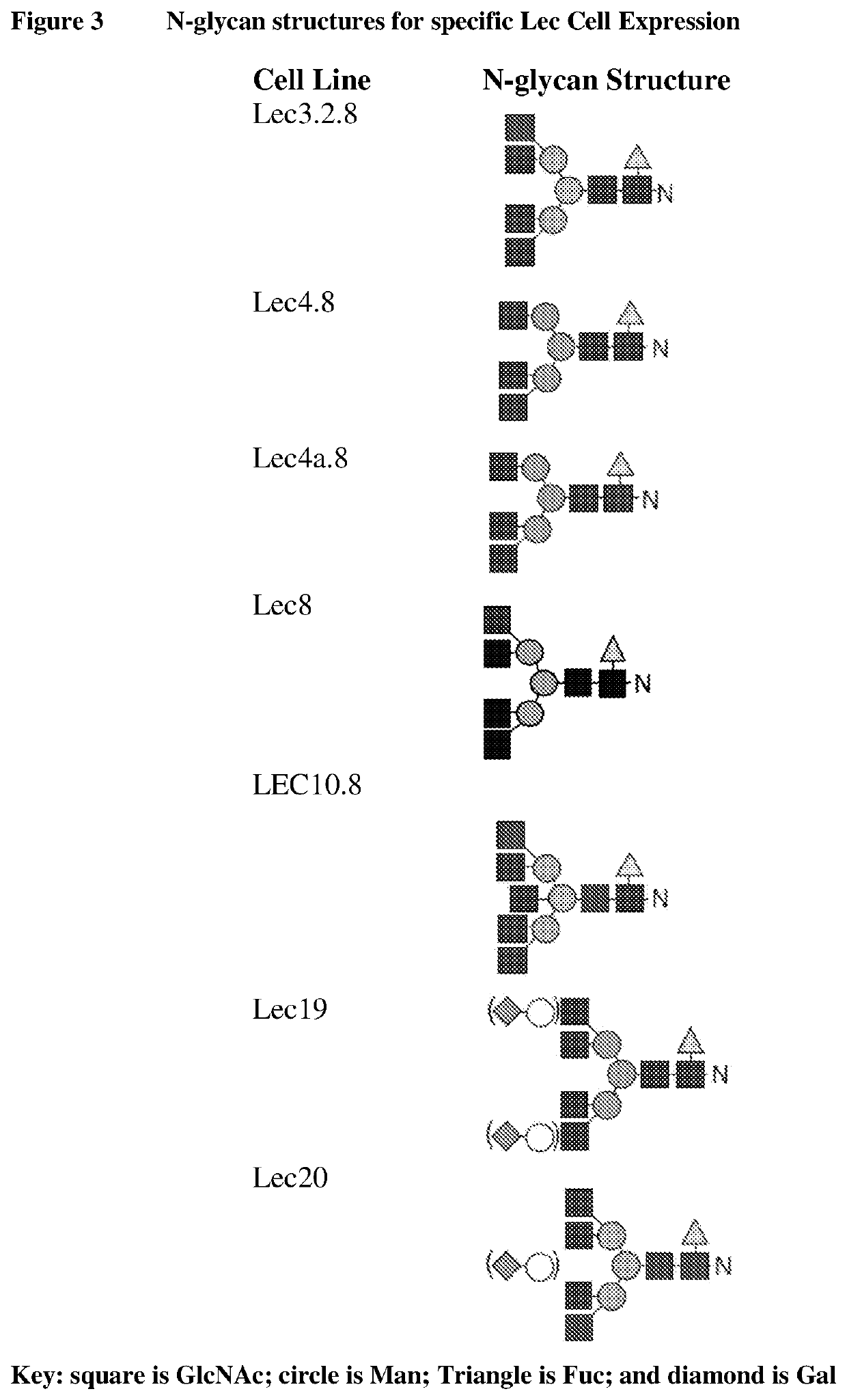 Methods for preparing antibodies with a defined glycosylation pattern