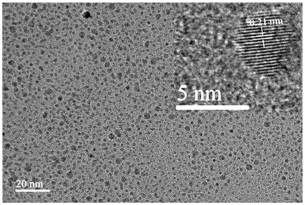 Preparation method and application of room-temperature phosphorescent carbon-based composite material capable of changing color under single excitation source