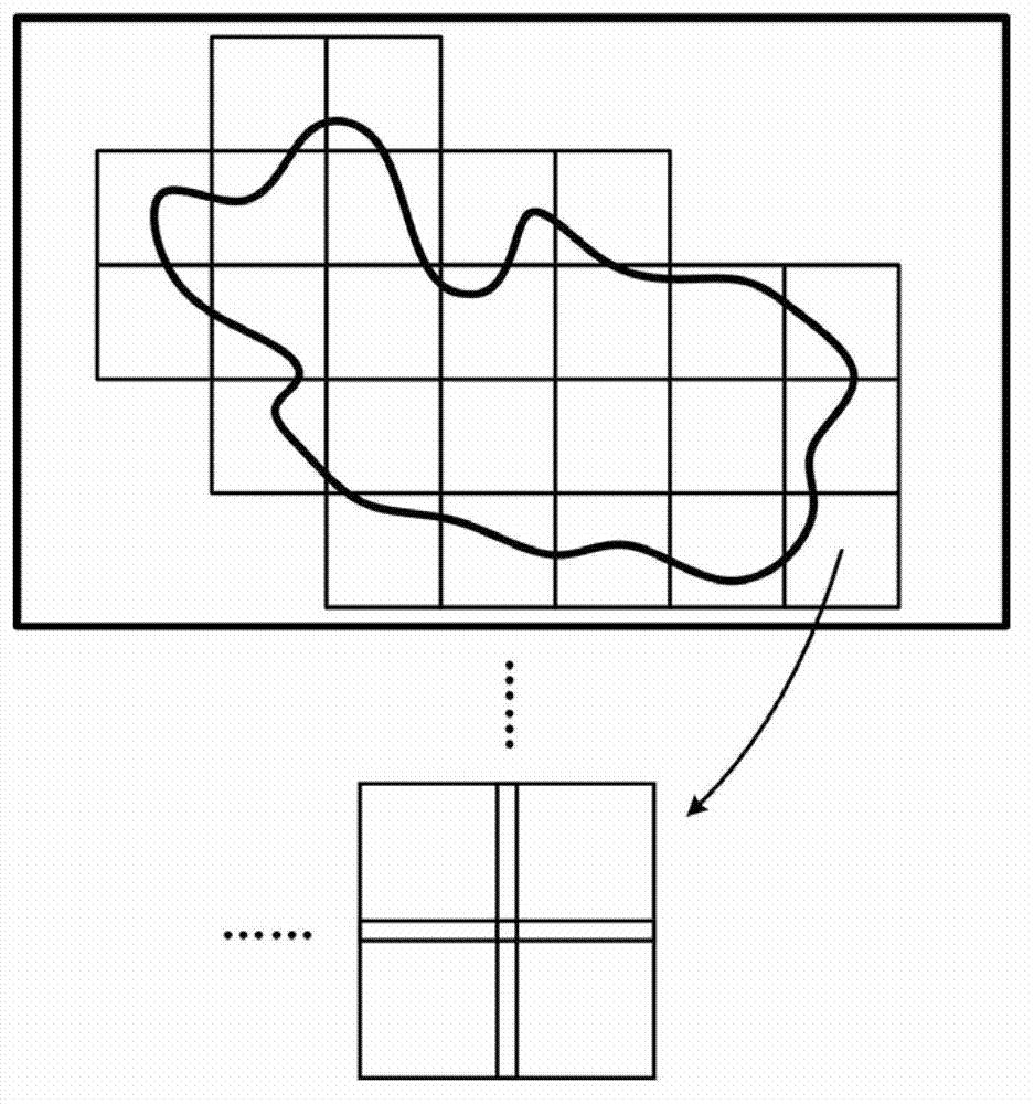 Method and system for rapidly three-dimensionally microimaging large sample