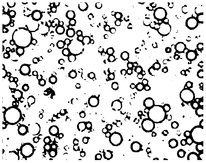 A kind of sunscreen composition and its preparation method and application