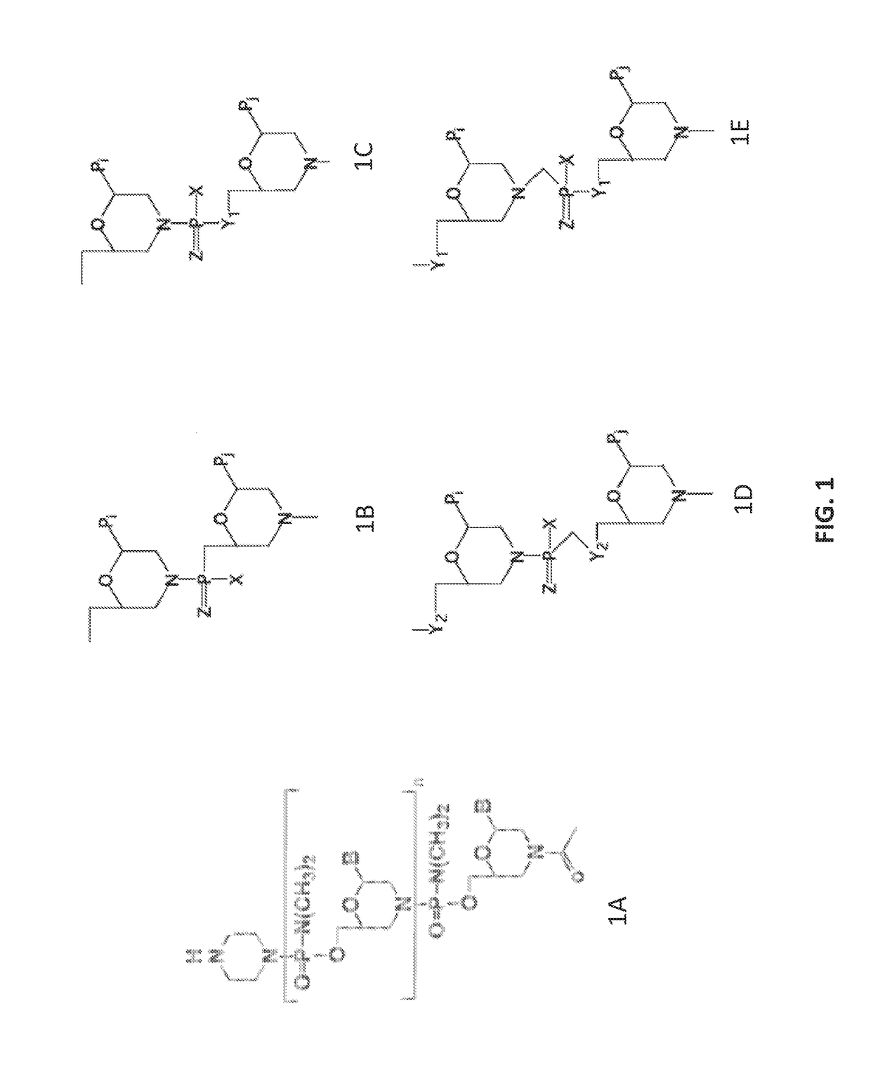 Antisense antibacterial compounds and methods