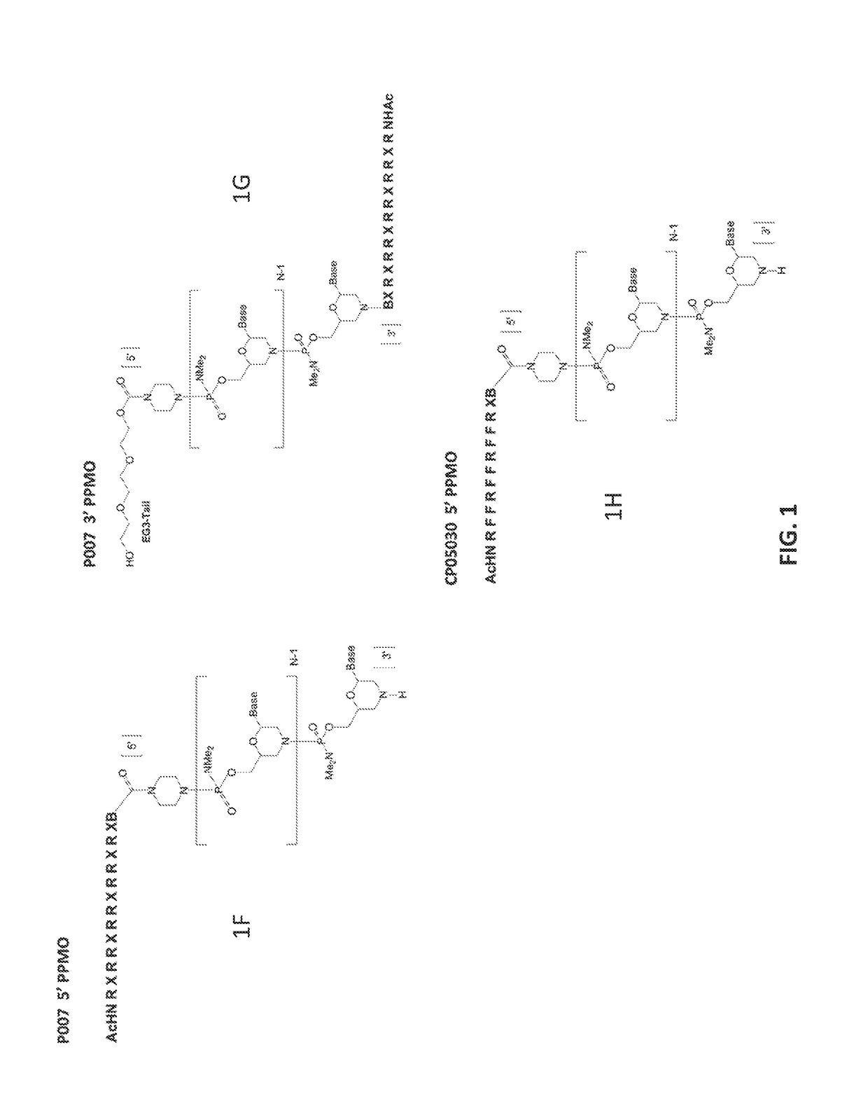 Antisense antibacterial compounds and methods